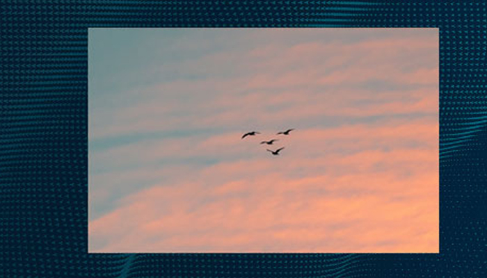 Composure in the Crosswinds